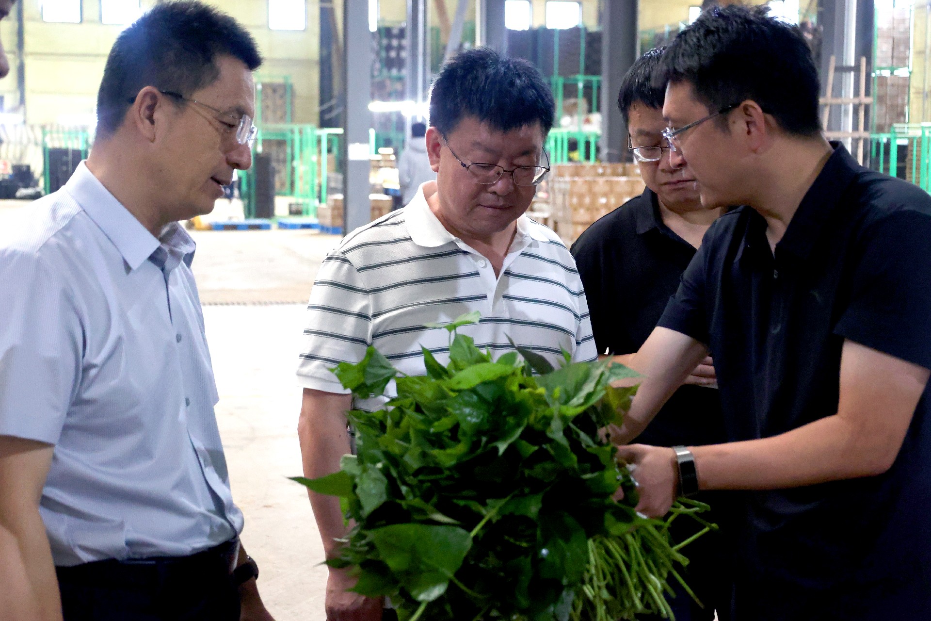 1757583926118049.jpg 微信圖片_20250911164110_140_2.jpg